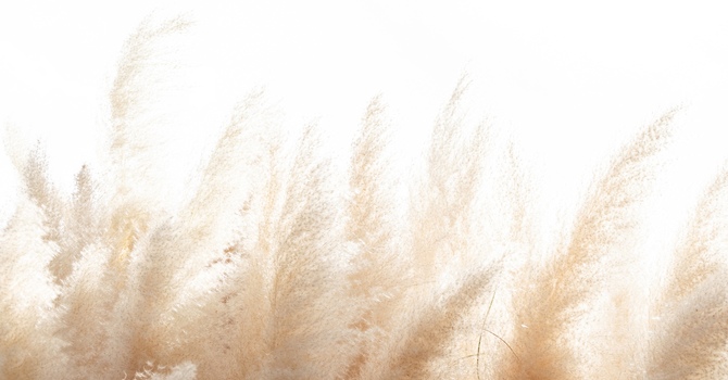 Naturopathic Medicine